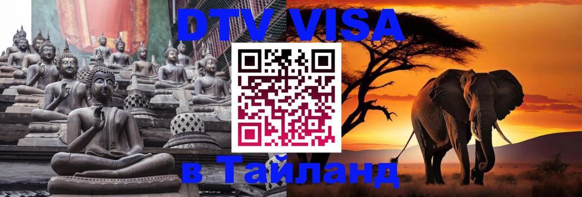 DTV Visa Тайланд купить Новосибирск 