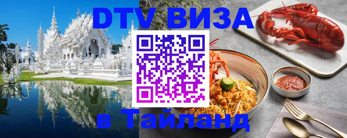 Оформление DTV визы под ключ: стоимость и тарифы, только загранпаспорт - 04.10.2025 